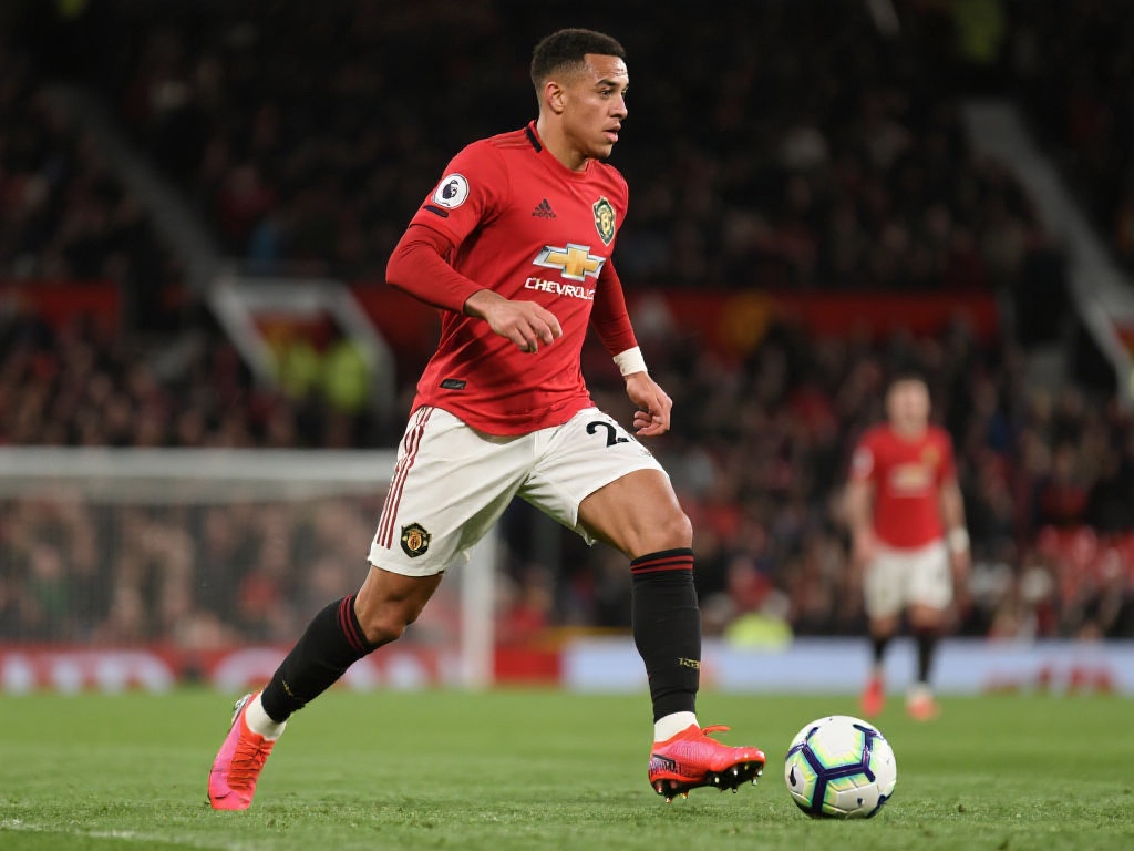 而有些则会 而有些则会